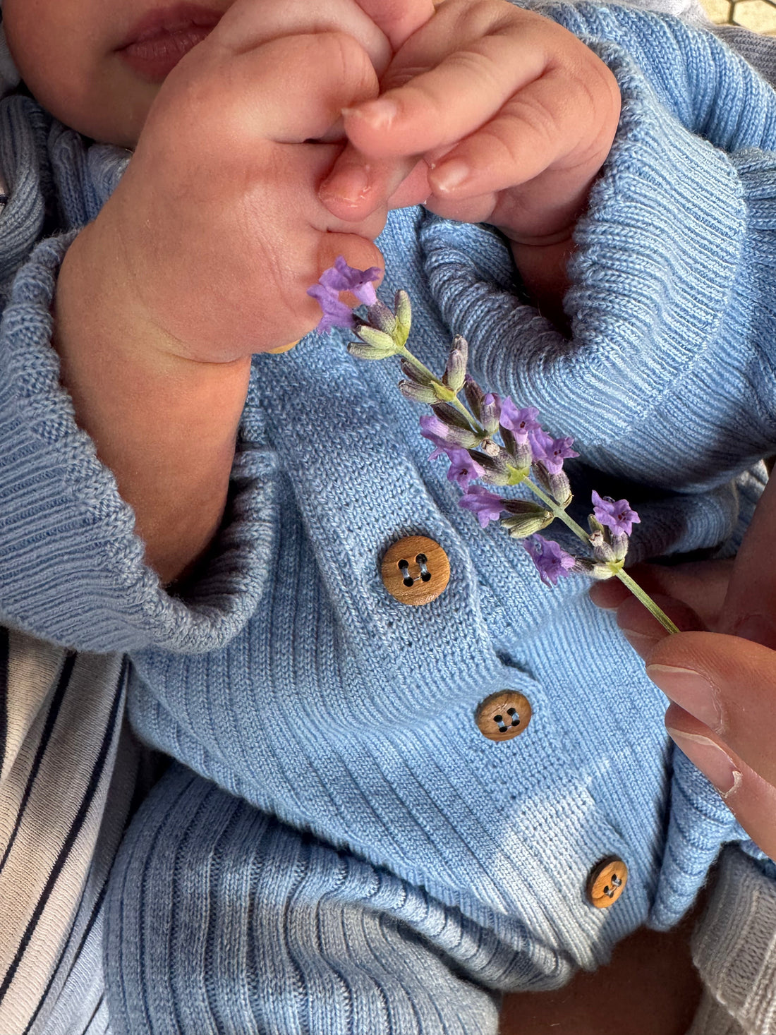 Merino Wool for Newborns: What Parents Should Know
